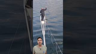 Pesca Atún +1000kg con Lanza 😱 #pesca #playa #curiosidades #sea #animales #naturaleza