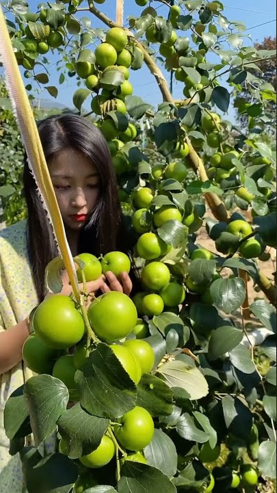 Download lagu Natural Lifestyle with Liliana ⛺ Bushcraft Survival Living in Forest #38