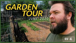 June 2020 | Garden Tour &amp; Updates - Riv and Al