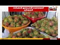 കണ്ണൂരിൽ റമ്പൂട്ടാൻ വിളവ് സമൃദ്ധം, സജീവം; പക്ഷെ വിപണിയില്ലാതെ പ്രതിസന്ധിയിൽ കർഷകർ