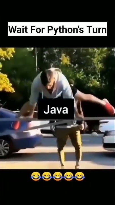 Wait for Python's Turn 😂, Coding Meme, Programming Meme, Python Memes ...