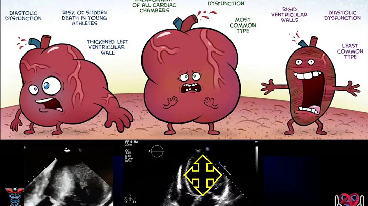 Dr Bokhari Presentation