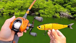 Fishing a GIANT Swimbait for Pond MONSTERS!