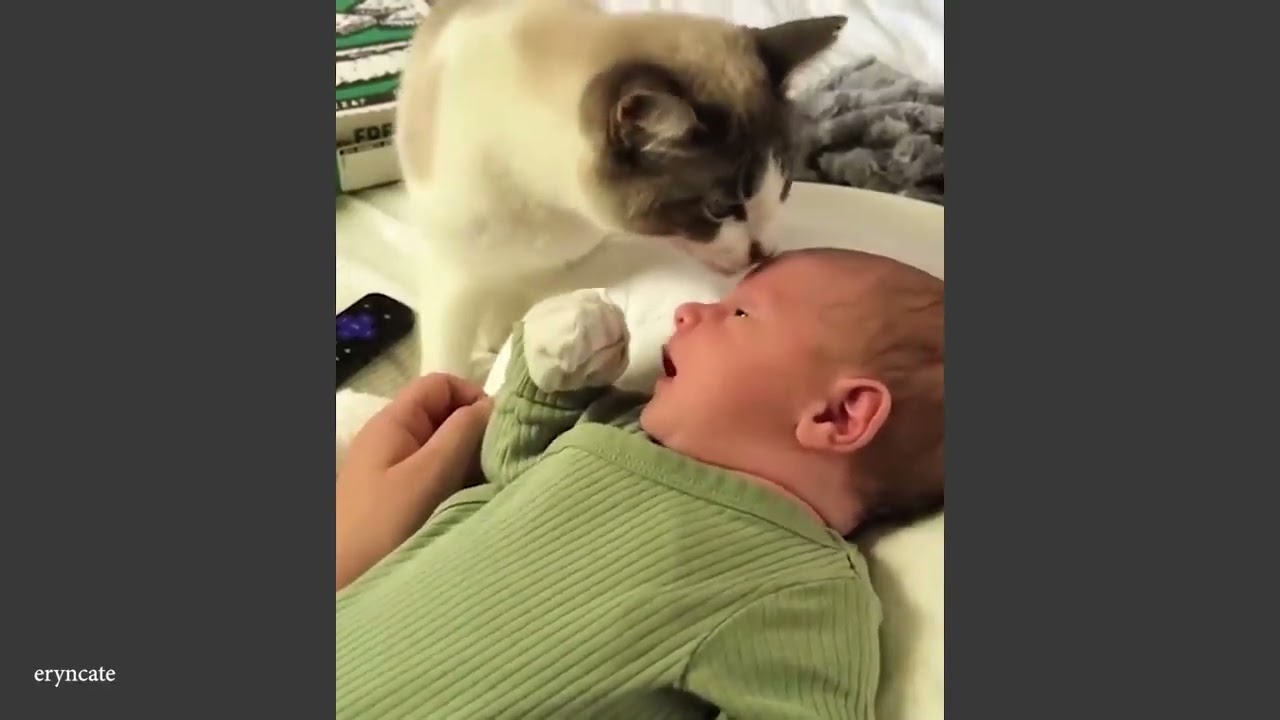 Cats Protecting Babies Like Their Little Ones!😘😸