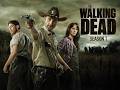 Akima TWD S1
