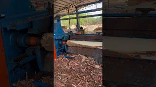 Wow 😮 Incredible Hydraulic Wood Processing Machine part 571 #shorts #woodworking #viral #wood