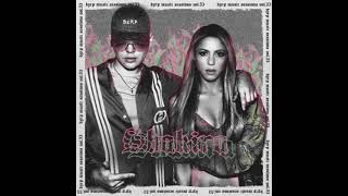 Shakira Copa Vacía Solo Versión