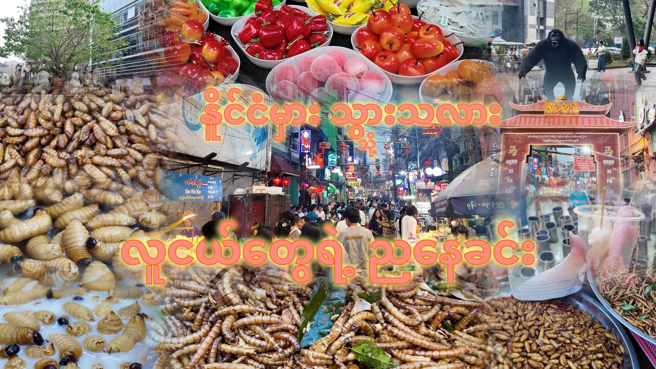 နိုင်ငံများ မှားသွားသလား