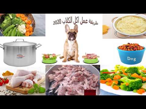 الحلقة الرابعة من تغذية الكلاب (طريقة عمل اكل الكلاب) 2020 DOG NUTRITION