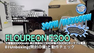 FLOUREON F300 大容量80000mAh 純正弦波AC[300W最大600W]ポータブル