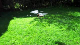 Honey Bee CP3 Test Flight