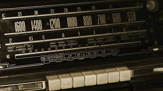 unnamedFox | 2019 06 09T09 37 07Z 10140 3kHz
