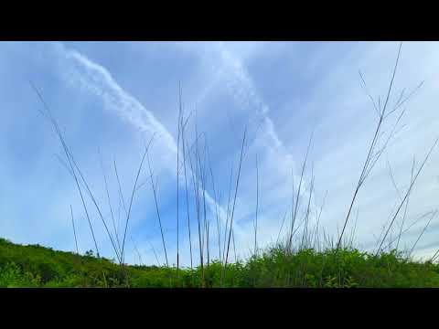 Montaukett Sky (music video) by Billy Martin a.k.a illy B