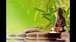 Never did it, never did it with pride, never did it with anger. Even if he rejects me today, I am a disciple of Buddha. 🙏🙏🙏