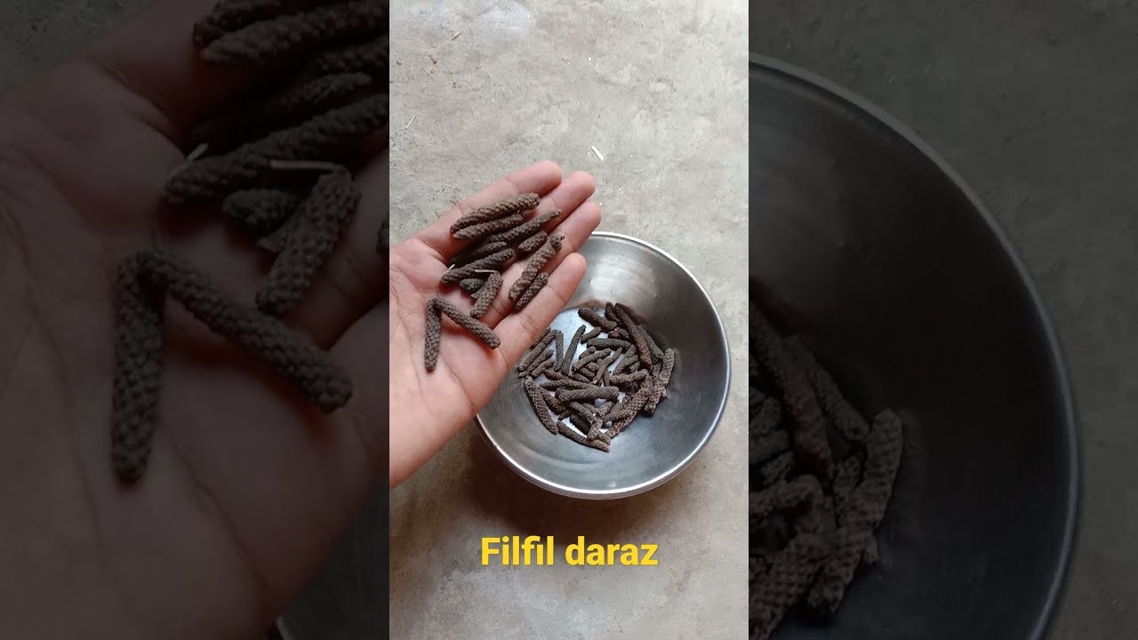 Use Of Filfil Daraz Meday Ki Dawa YouTube Use Of Filfil Daraz Meday Ki Dawa YouTube
