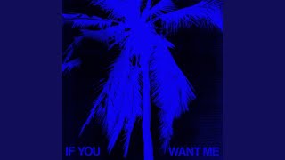 If You Want Me (feat. SG Lewis) - Loods