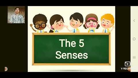 Science Teaching demonstration | The 5 Senses | Devin Alcontin