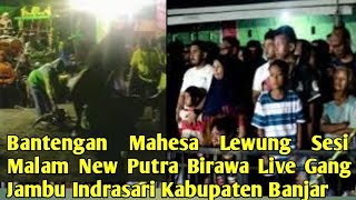 Download Lagu Bantengan Mahesa Lewung New Putra Birawa Live Gang Jambu Indrasari Kabupaten Banjar Sesi Malam MP3 Download Lagu Bantengan Mahesa Lewung New Putra Birawa Live Gang Jambu Indrasari Kabupaten Banjar Sesi Malam MP3