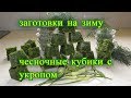 Заготовки на зиму. Чесночные кубики с укропом.