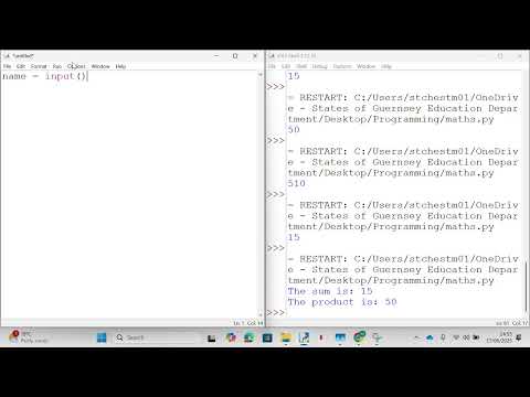 GCSE Level Programming Essentials - Basics - Input