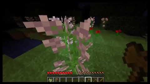 Variable_Record_Investigation_02_040420##.mp4