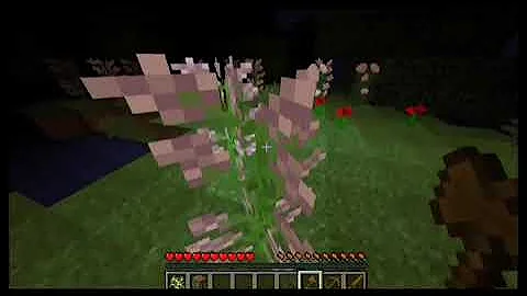 Variable_Record_Investigation_02_040420##.mp4