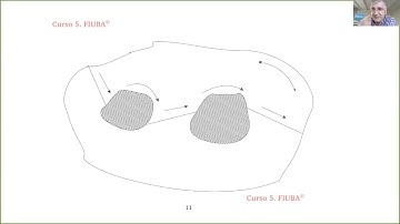 Clase 10. Integración Compleja (segunda clase)