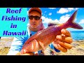 Hawaii Reef Fishing | Fishing in Hawaii | Hawaii Fishing | Hawaii Shore Fishing