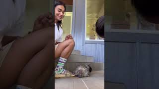 THIS just went viral and I'm the main character, duh! #bretmanrock #fyp #bretmanrock #fyp #bretma...