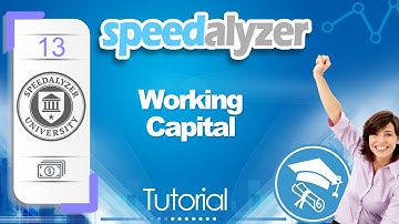 SpeedAlyzer - Working Capital Tutorial