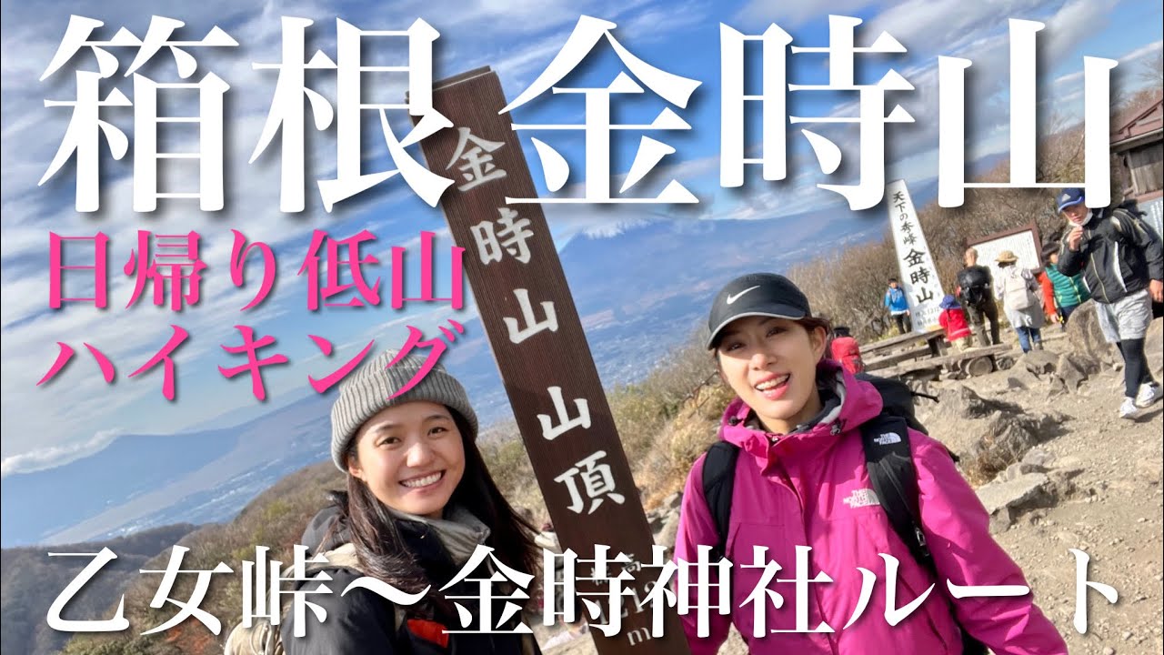 【登山・低山ハイク】富士山と紅葉を見に金時山へ！乙女峠登山口→金時神社下山コース　新宿バスタ高速バスとロマンスカーVSE乗車