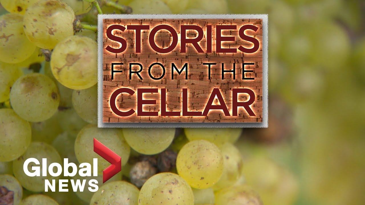 Old vs. New world wines: What's the difference?