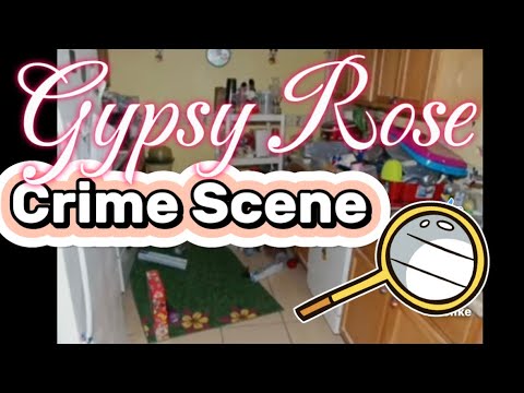 10 Disturbing Details From The Gypsy Rose Blanchard Crime Scene (NSFW)