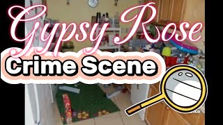 Deep Dive into Gypsy Rose Crime Scene! New info!