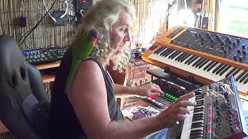 Roland mx1,tr8,jdxi,studiologic sledge with skittles