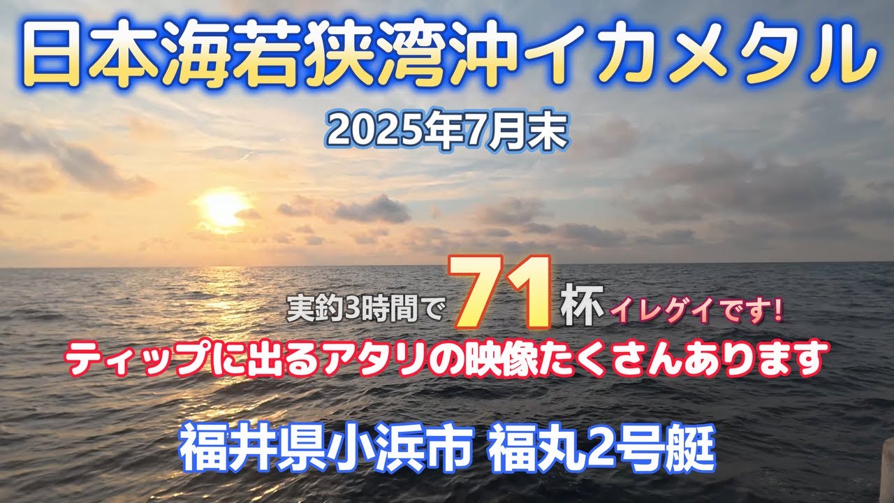 イカメタルで71杯釣れました《福井県小浜市 福丸》