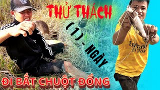 Thử Thách 1 Ngày Săn Bắt Chuột Ngoài Đồng Sẽ Ra Sao ?? | mouse hunting 🐀 | vinh vlog