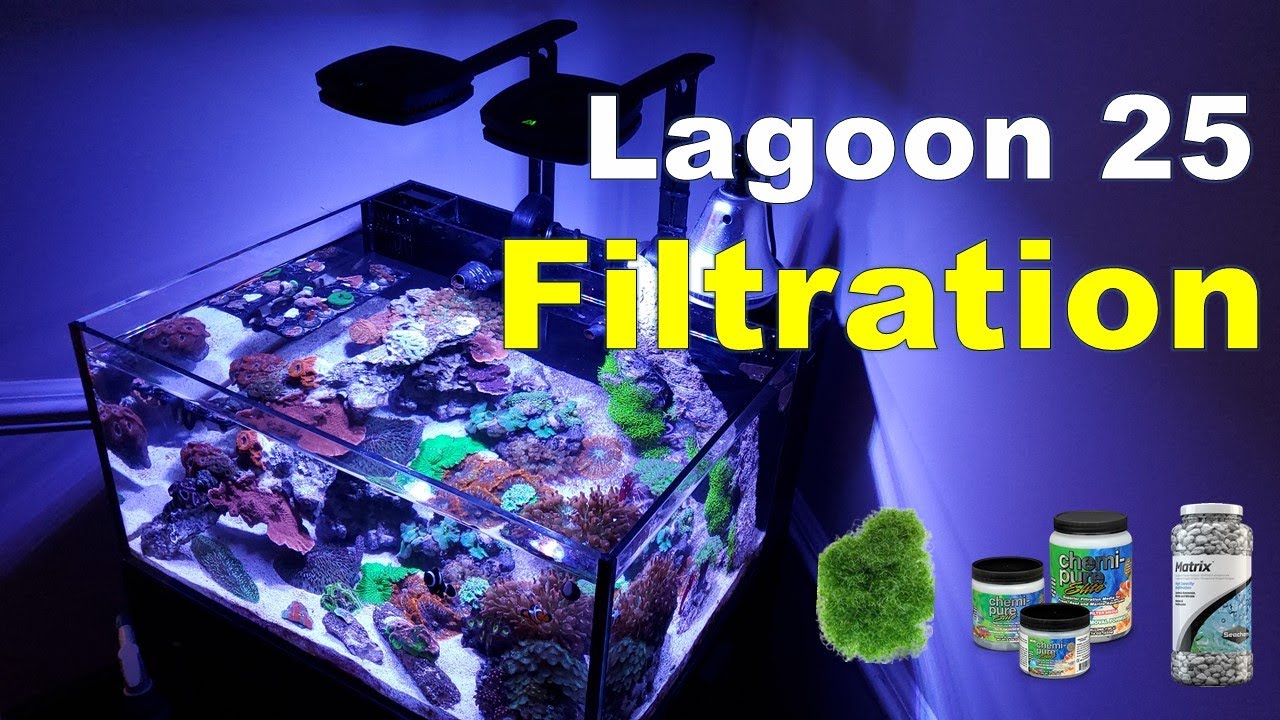 Innovative Marine Lagoon 25 Filtration YouTube