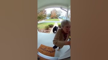 The grandma was attacked and the house dog save save her