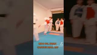 Tae Kwon do increíble!