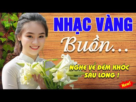 Nhạc Vàng Buồn Nghe Về Đêm Khóc Hết Nước Mắt – 1135 Ca Khúc Nhạc Vàng Bolero Trữ Tình Toàn Bài Hay