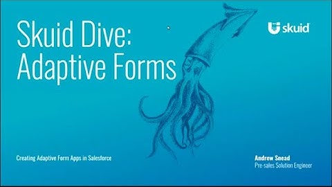 Skuid deep dive - Creating Adaptive Salesforce Forms
