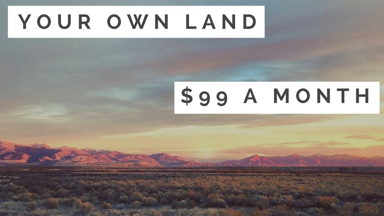 Land for 99 a month, Wild Mustangs in the area YouTube