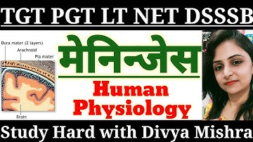 Meninges || Protective layers of Brain & Spinal cord || TGT PGT HOME SCIENCE CLASSES BY DIVYA MISHRA