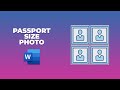How to make passport size photo in word