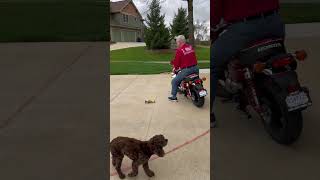 My 83 y/o dad on my Honda Monkey