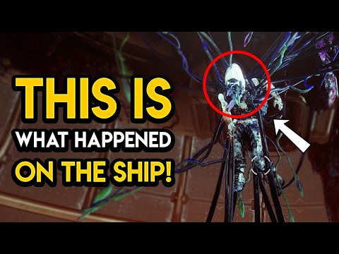 Destiny 2 - DARK SHIP MYSTERY SOLVED! Secret Room, Guardian's Story, Calus & MORE!