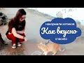 НАКОРМИЛИ БЕЗДОМНЫХ КОШЕК | Твори Добро #КатеринаКотова