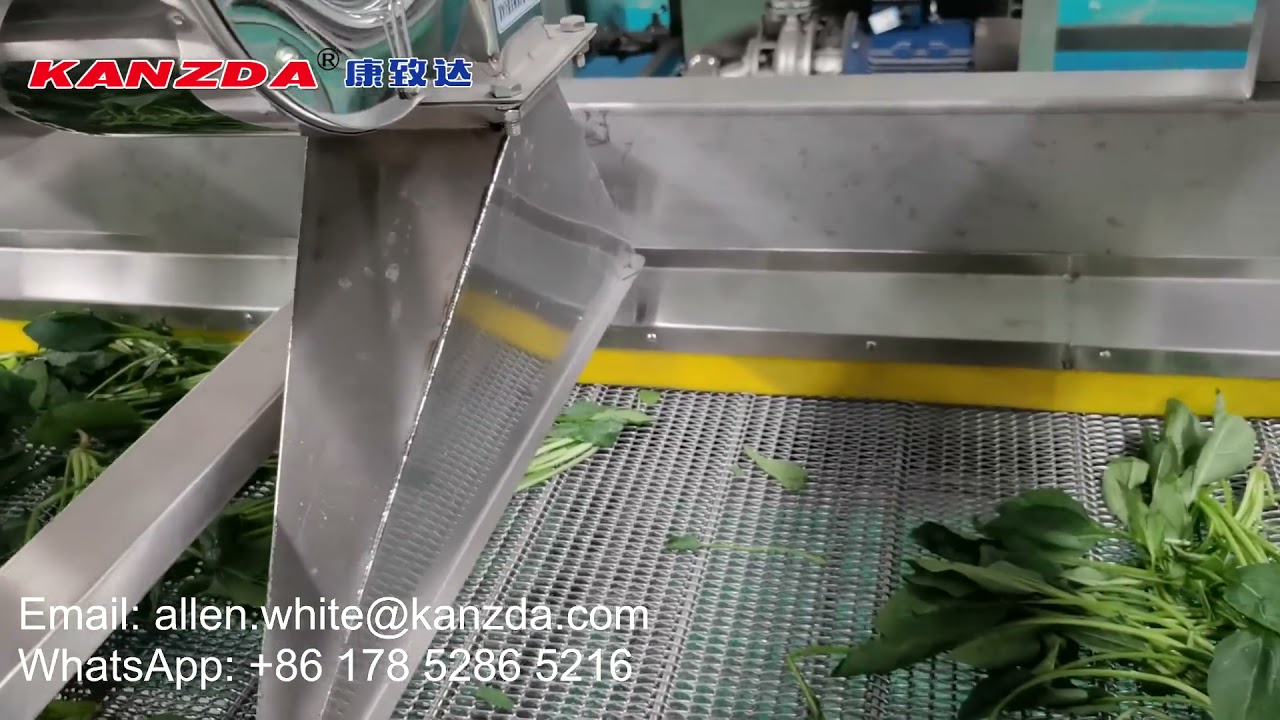 Industrial Fruit and Vegetable Washing Machine - KANZDA