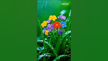 روائع التلاوات | سورة غافر | "غافر الذنب وقابل التوب" | بصوت خاشع للشيخ محمد صديق المنشاوي رحمه الله